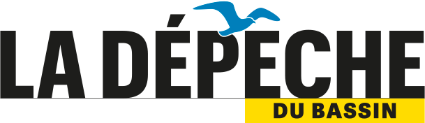 logo-depeche